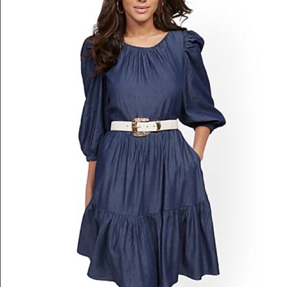 Denim Puff-Sleeve Fit and Flare Dress